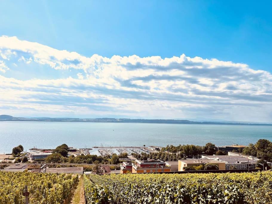 Charmant Appartement De Vacances Alta Ripa Hauterive (Neuchatel) Exterior photo
