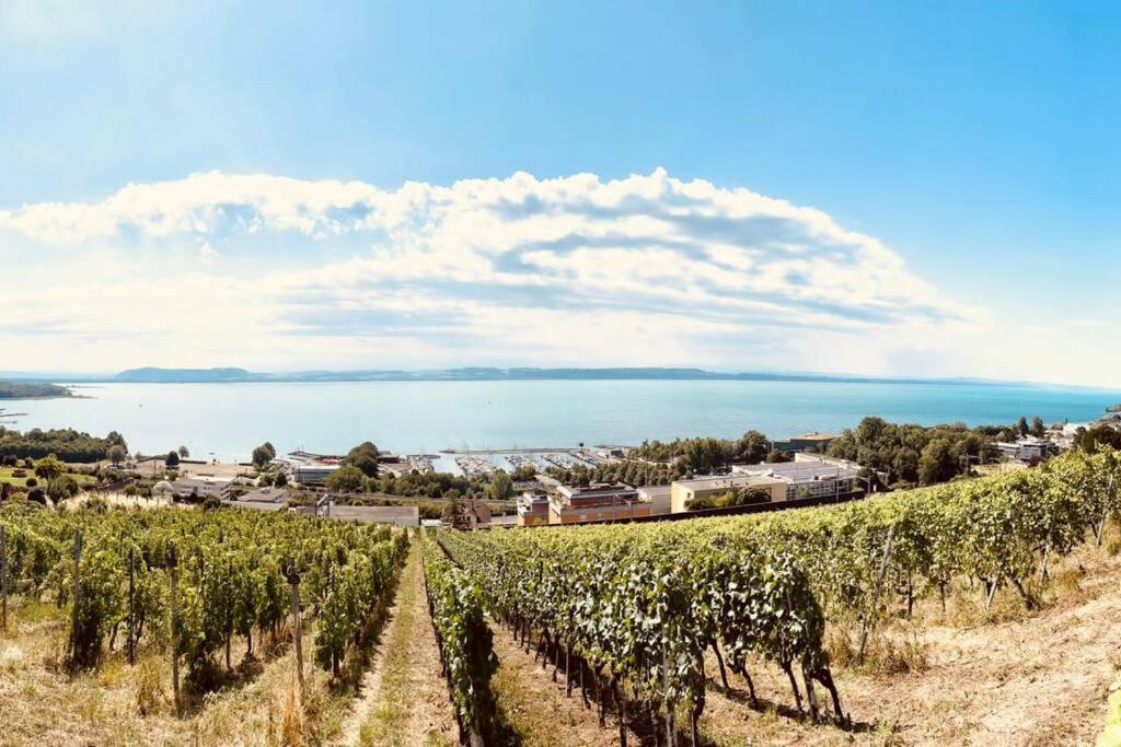 Charmant Appartement De Vacances Alta Ripa Hauterive (Neuchatel) Exterior photo
