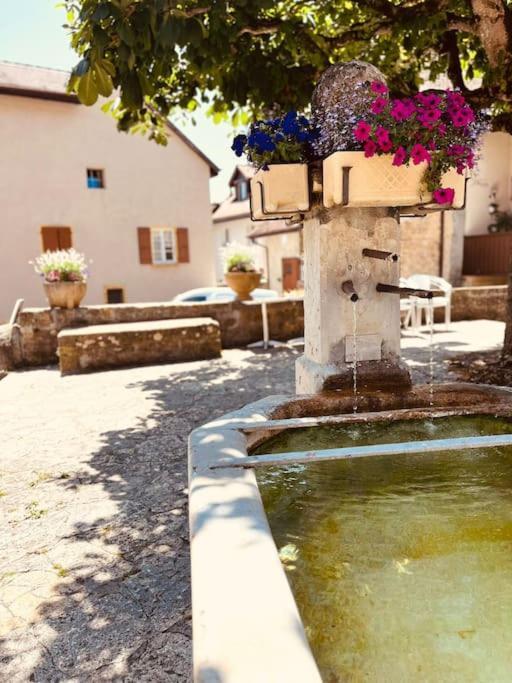 Charmant Appartement De Vacances Alta Ripa Hauterive (Neuchatel) Exterior photo