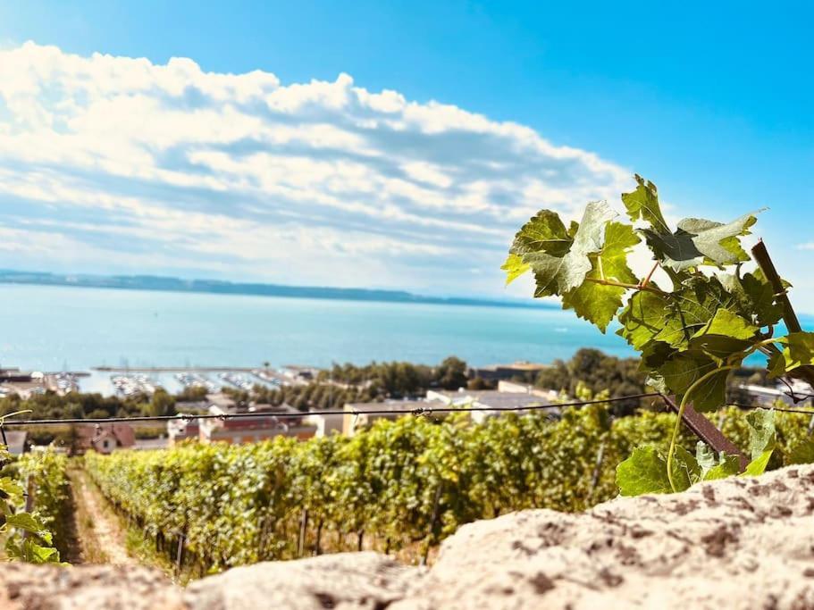 Charmant Appartement De Vacances Alta Ripa Hauterive (Neuchatel) Exterior photo